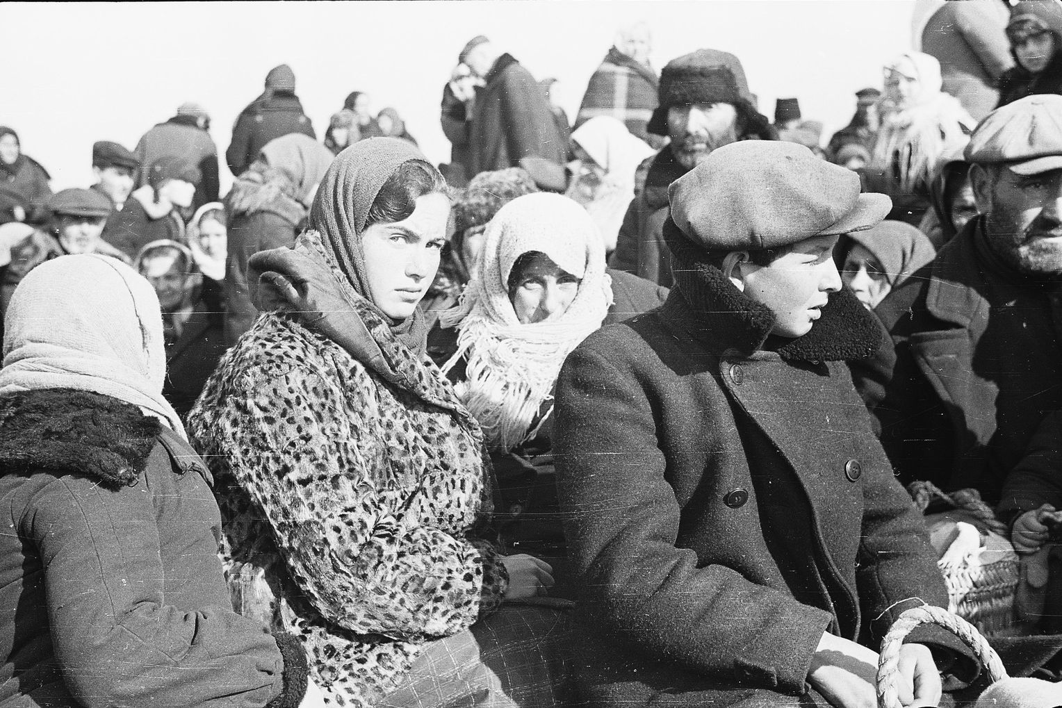 Questa giovane donna sarà uccisa poco dopo dagli uomini del Sonderkommando 4a. presso Lubny nei pressi di Kiev. La fotografia è stata scattata dal fotografo Johannes Hähle, membro di una compagnia di propaganda tedesca. Hähle non poté essere interrogato sui massacri in Russia perché morì in Francia nel 1944.